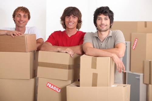 Customer interacting with Man and Van service provider