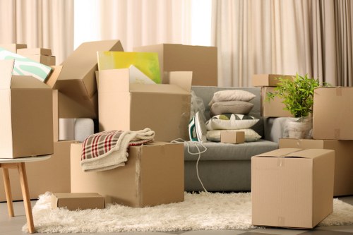 Comprehensive packing solutions for a stress-free move